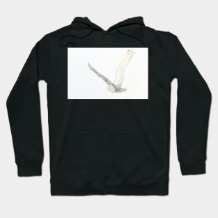 Afternoon Flight - Snowy Owl Hoodie